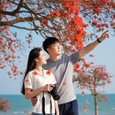 惠州旅游 缩略图 3