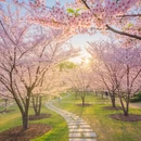上饶旅游 缩略图 4