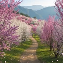 宿州旅游 缩略图 5