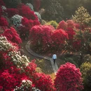 乐山旅游 缩略图 10