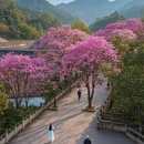 成都旅游 缩略图 6