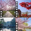扬州旅游 缩略图 1