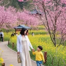 宿州旅游 缩略图 9