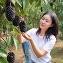 万宁旅游 缩略图 3