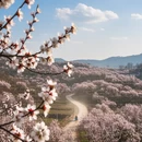 宿州旅游 缩略图 7