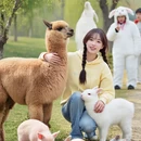 北海旅游 缩略图 2