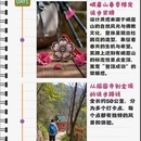 乐山旅游 缩略图 1