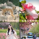 石家庄旅游 缩略图 1