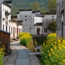 上饶旅游 缩略图 9