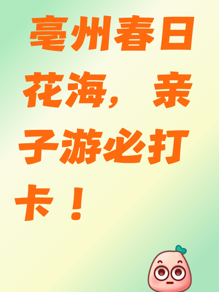 亳州旅游