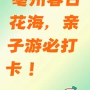 亳州旅游 缩略图 1