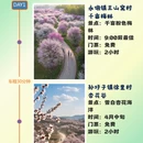宿州旅游 缩略图 1