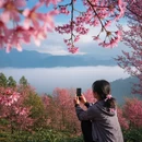 雅安旅游 缩略图 7