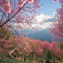雅安旅游 缩略图 8