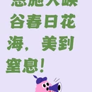 恩施州旅游 缩略图 1