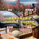雅安旅游 缩略图 1