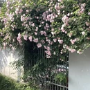 杭州旅游 缩略图 3