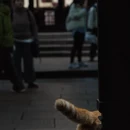无锡旅游 缩略图 12