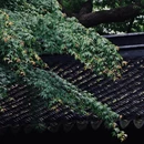 无锡旅游 缩略图 8