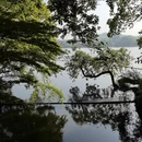 杭州旅游 缩略图 8