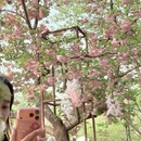 北京旅游 缩略图 2