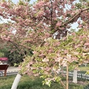 北京旅游 缩略图 7