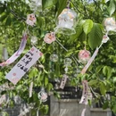 无锡旅游 缩略图 14