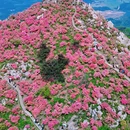 芜湖旅游 缩略图 5