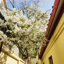青岛旅游 缩略图 1