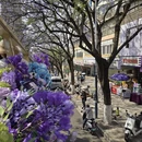 昆明旅游 缩略图 6