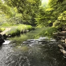 杭州旅游 缩略图 3