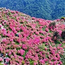 芜湖旅游 缩略图 2
