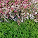 芜湖旅游 缩略图 8