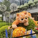 上海旅游 缩略图 3