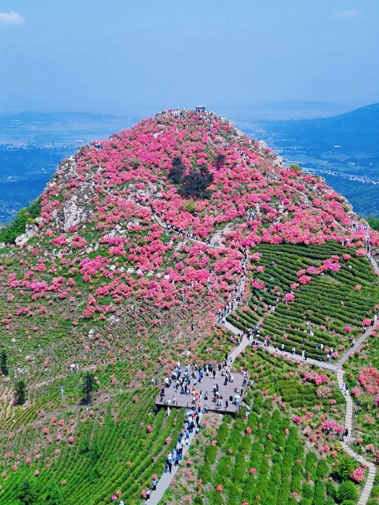 芜湖旅游