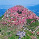 芜湖旅游 缩略图 1