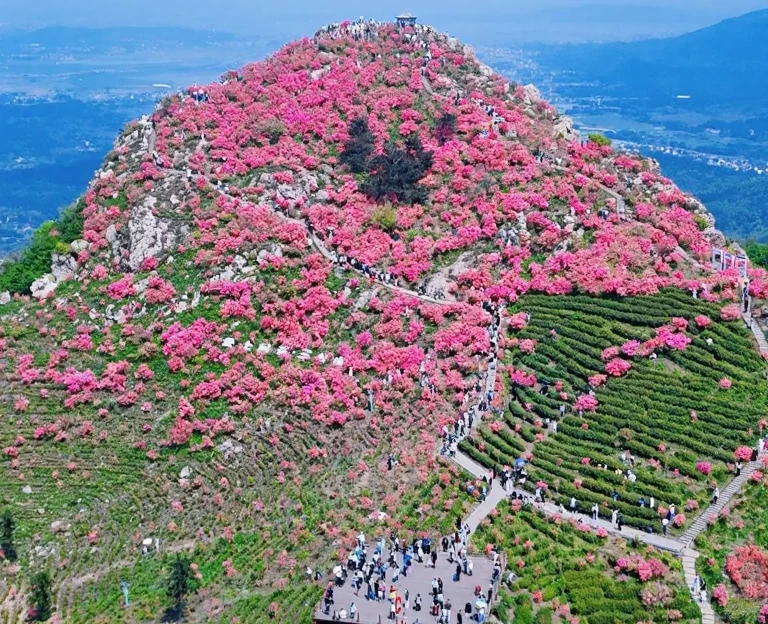 芜湖旅游 1
