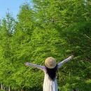 柳州旅游 缩略图 3