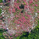 芜湖旅游 缩略图 7