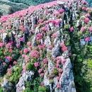 芜湖旅游 缩略图 10