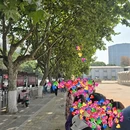 昆明旅游 缩略图 2
