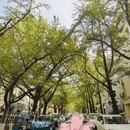 青岛旅游 缩略图 10