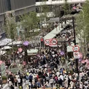 上海旅游 缩略图 6