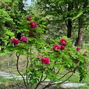 北京旅游 缩略图 6
