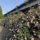 宁波旅游 缩略图 4