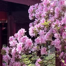 无锡旅游 缩略图 9