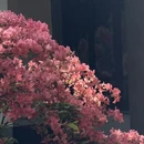 无锡旅游 缩略图 5