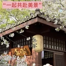 无锡旅游 缩略图 5