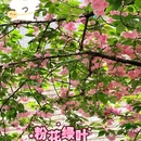 无锡旅游 缩略图 3