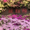无锡旅游 缩略图 4